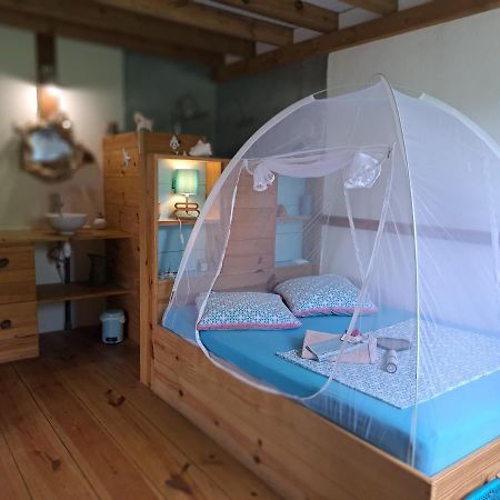 P'Tites Chambres Dans La Campagne De Marie Galante Grand-Bourg  Ngoại thất bức ảnh