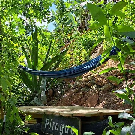 P'Tites Chambres Dans La Campagne De Marie Galante Grand-Bourg  Ngoại thất bức ảnh