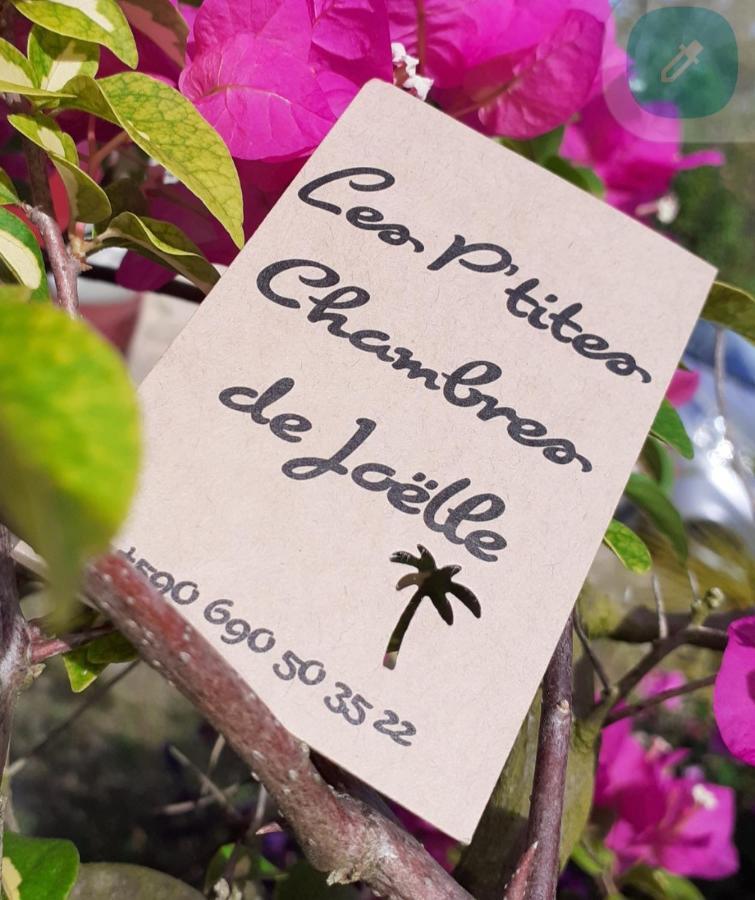 P'Tites Chambres Dans La Campagne De Marie Galante Grand-Bourg  Ngoại thất bức ảnh